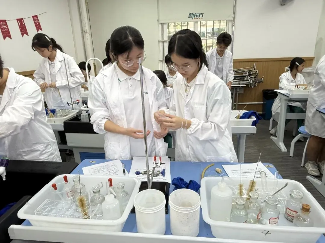 对标中考实战!备考2026中考物化实验专项训练 第12张