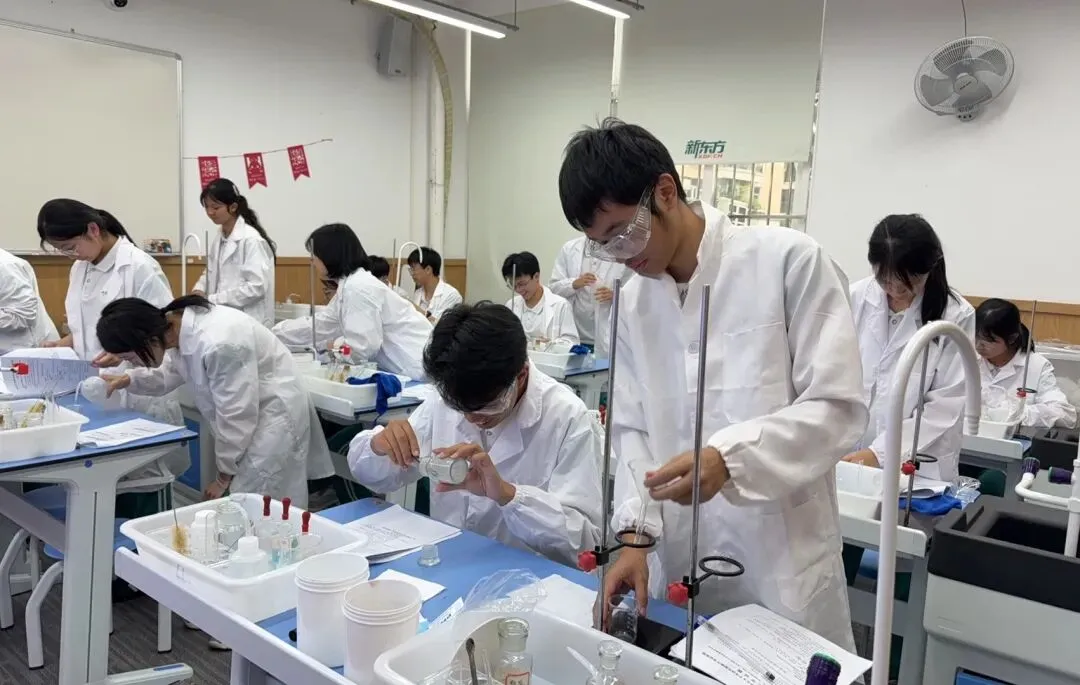 对标中考实战!备考2026中考物化实验专项训练 第20张