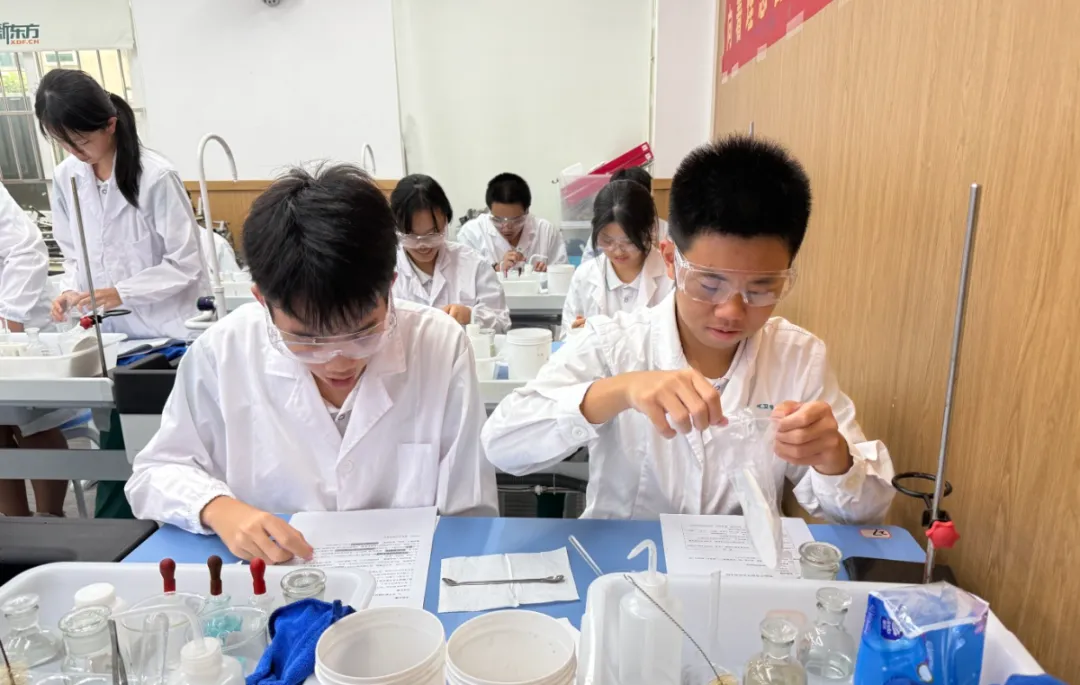 对标中考实战!备考2026中考物化实验专项训练 第22张