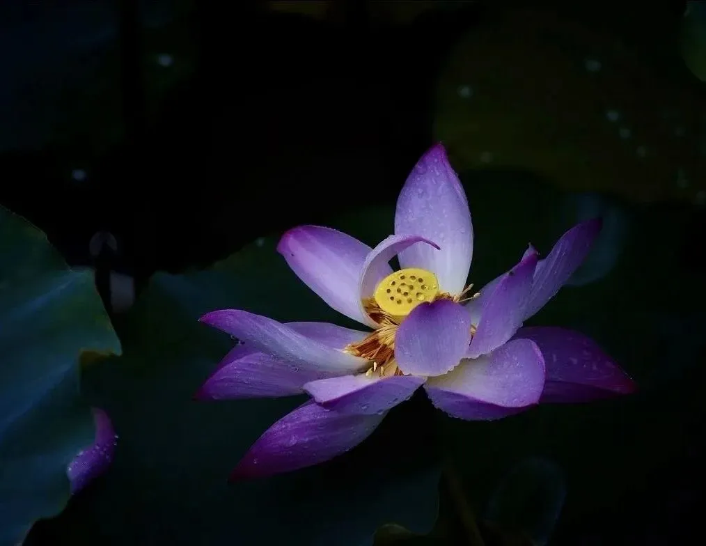 2025高考真题中的写作高频词块原创整理(精品) 第1张