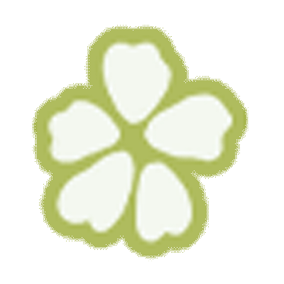 26山东济南二模英语试卷翻译+答案解析含听力音频原文 第11张