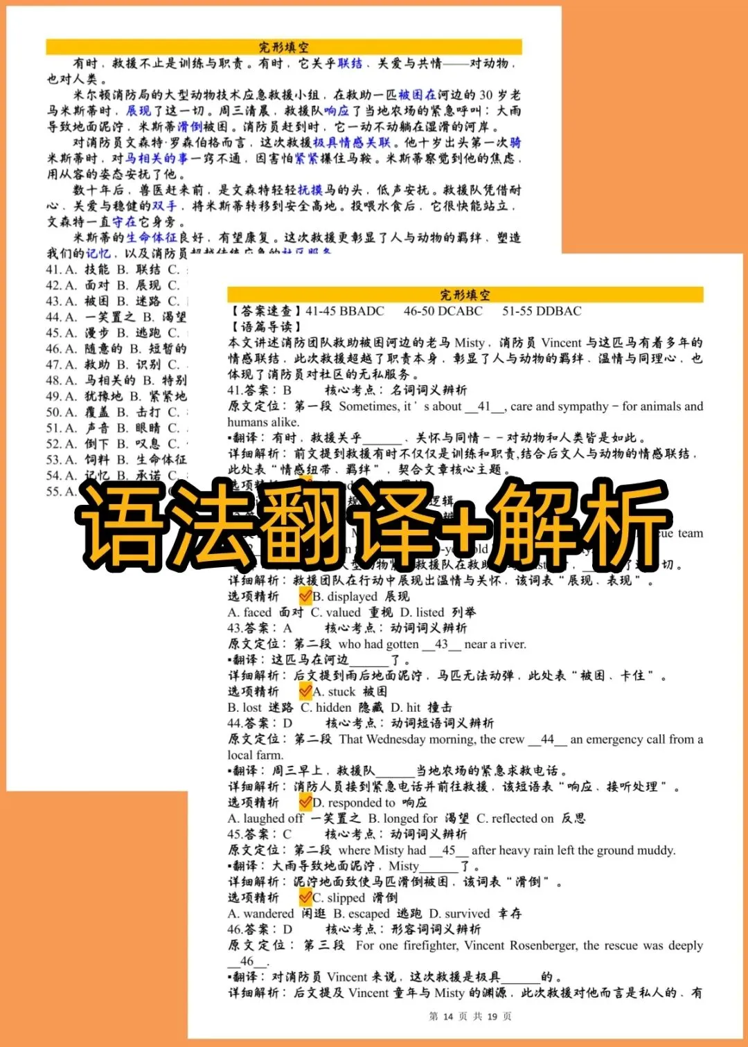 26山东济南二模英语试卷翻译+答案解析含听力音频原文 第27张
