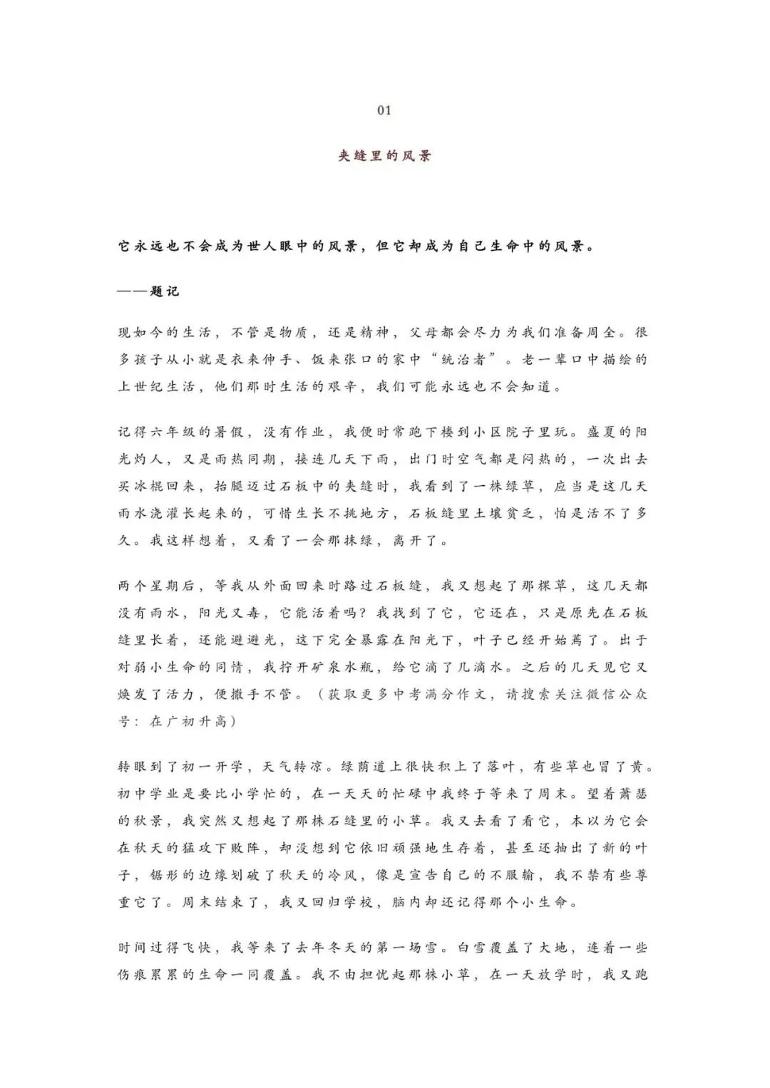 初中语文 | 中考语文作文押题:【托物言志类】作文(范文10篇,可打印) 第2张