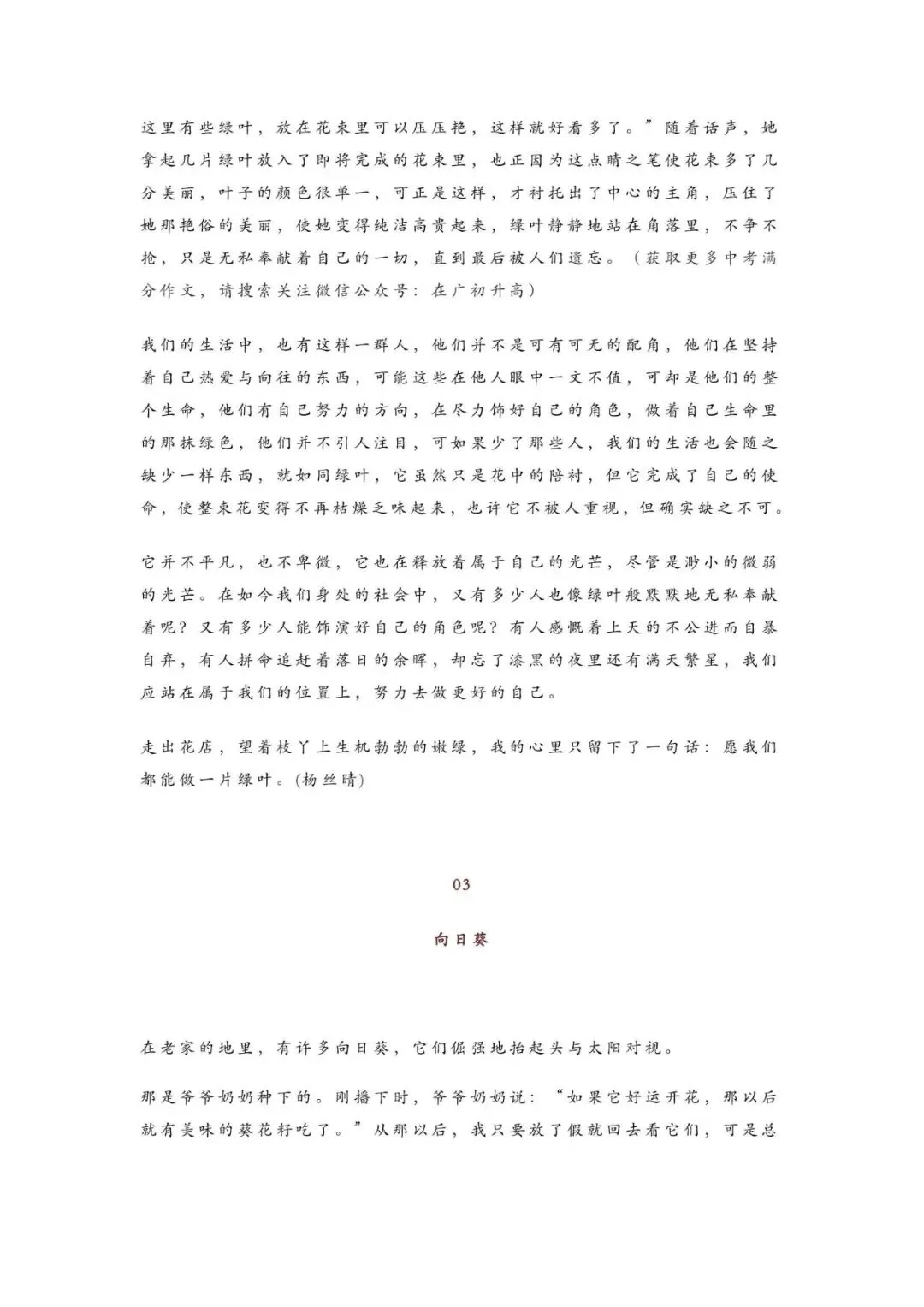 初中语文 | 中考语文作文押题:【托物言志类】作文(范文10篇,可打印) 第4张