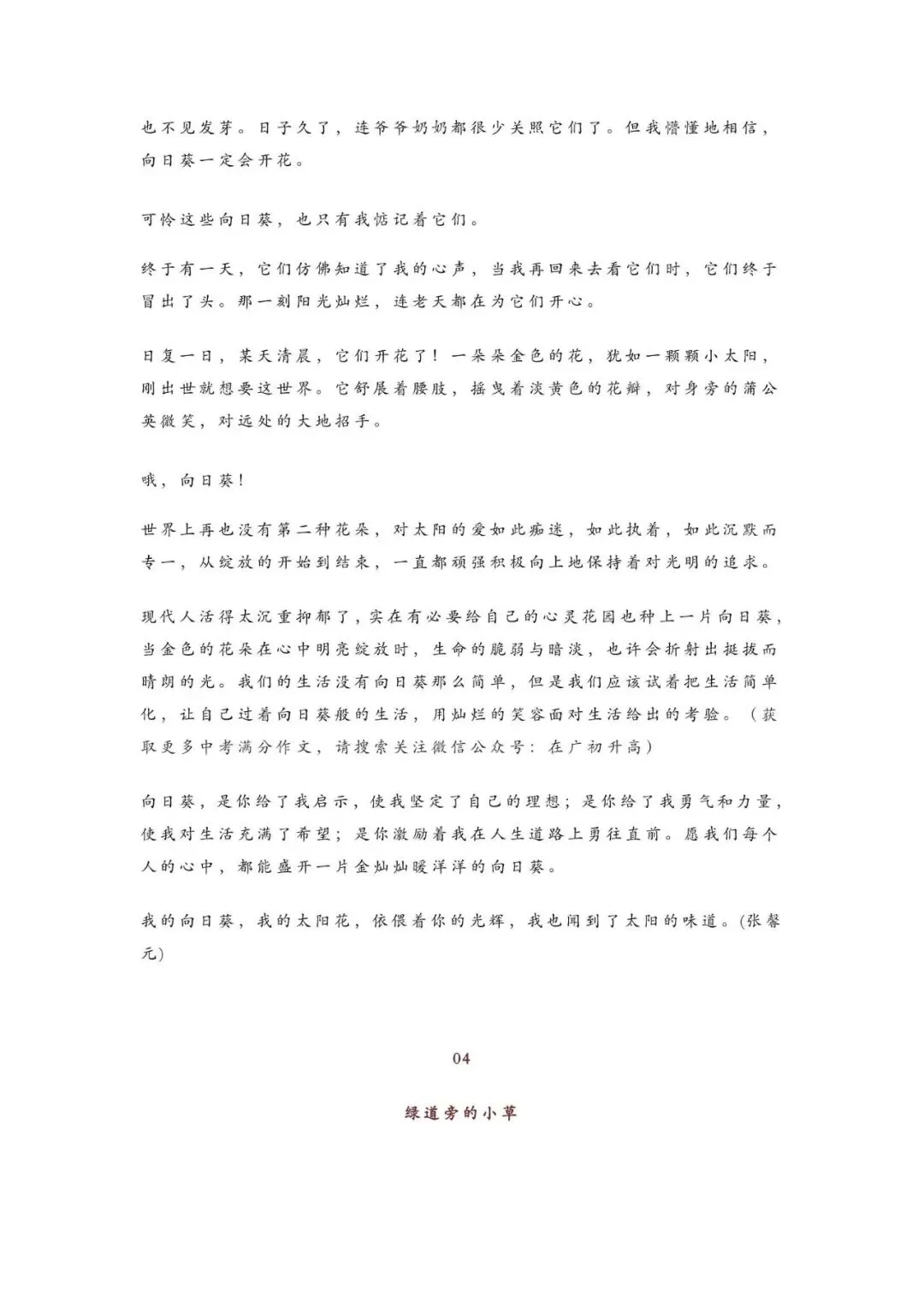 初中语文 | 中考语文作文押题:【托物言志类】作文(范文10篇,可打印) 第5张