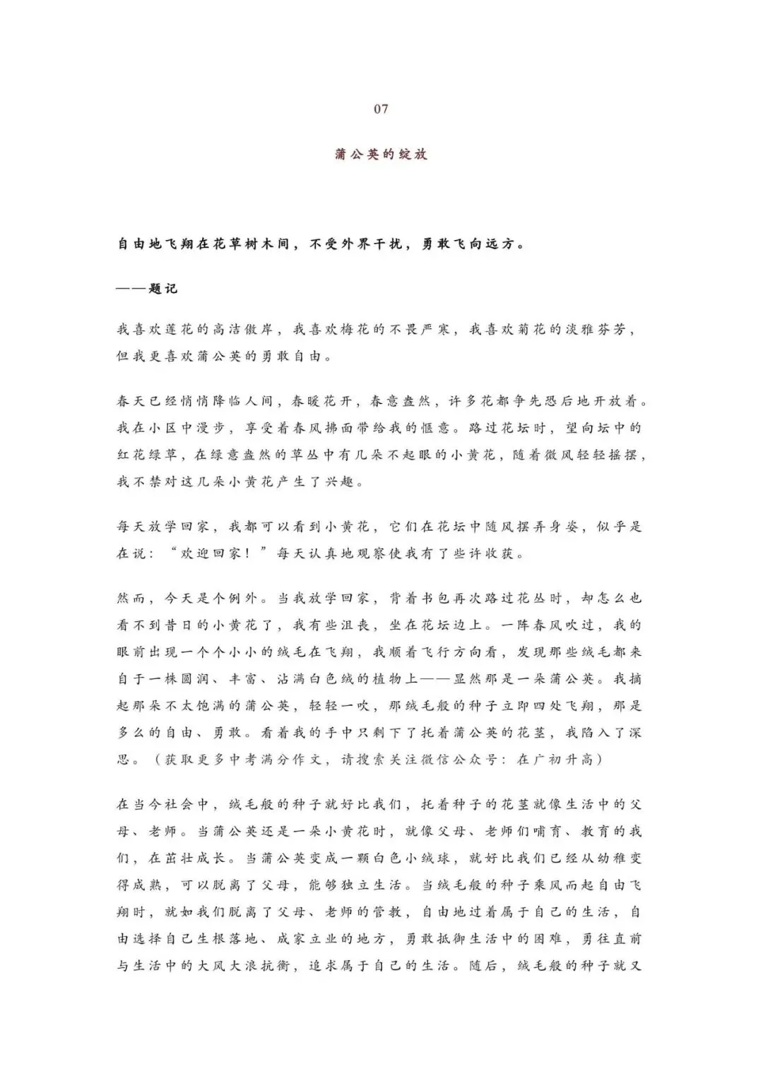 初中语文 | 中考语文作文押题:【托物言志类】作文(范文10篇,可打印) 第9张