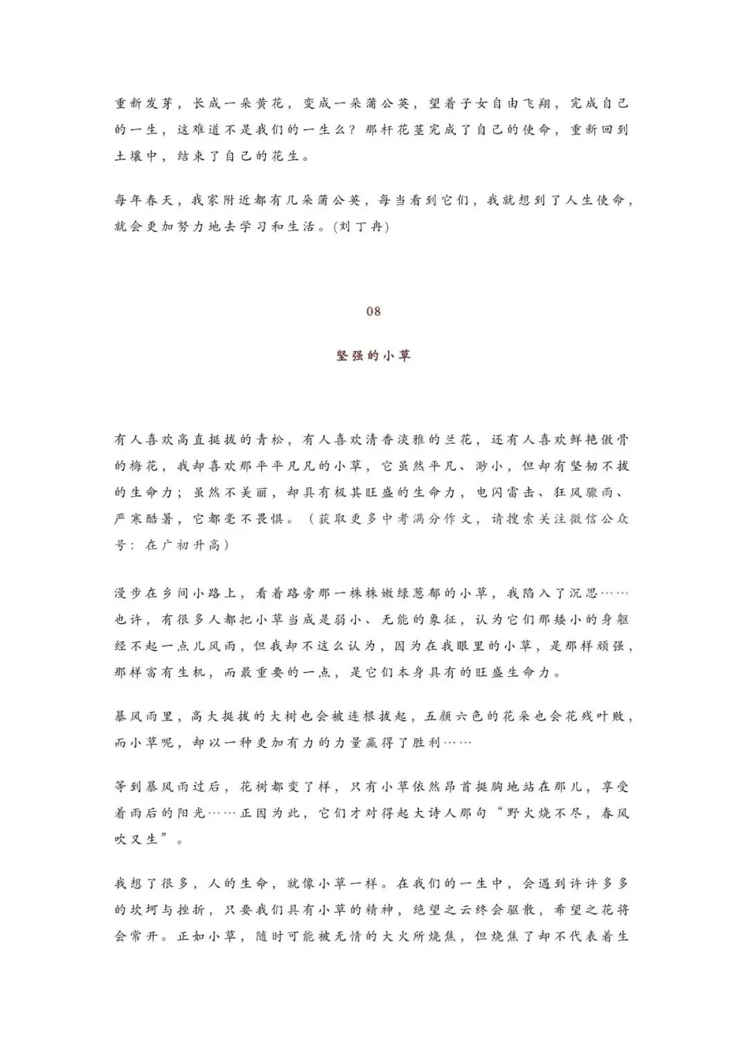 初中语文 | 中考语文作文押题:【托物言志类】作文(范文10篇,可打印) 第10张