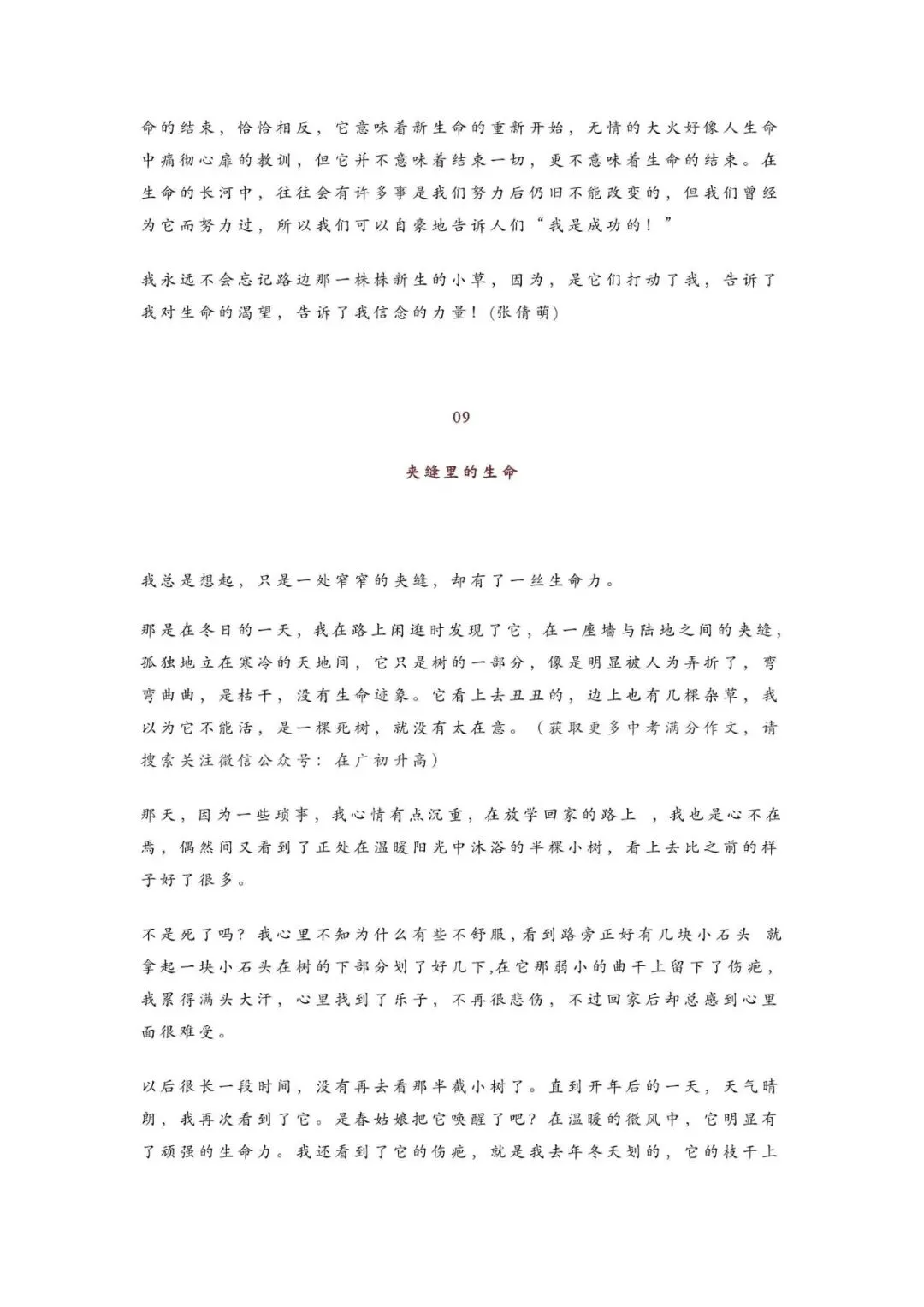 初中语文 | 中考语文作文押题:【托物言志类】作文(范文10篇,可打印) 第11张