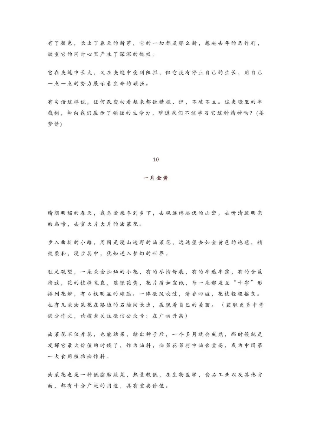 初中语文 | 中考语文作文押题:【托物言志类】作文(范文10篇,可打印) 第12张