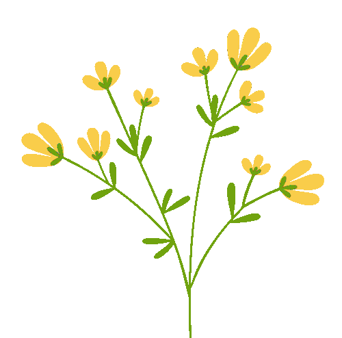 前程似锦,未来可期 --大深教育第四届中考讲座第二场圆满结束 第4张