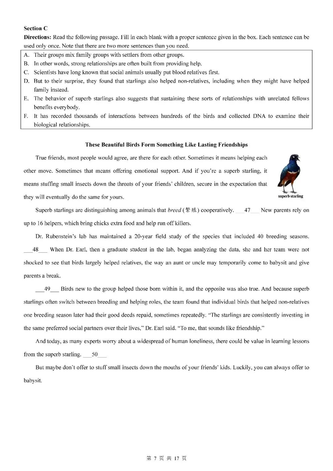 2026届上海市黄浦区高三二模英语试卷(含答案) 第7张