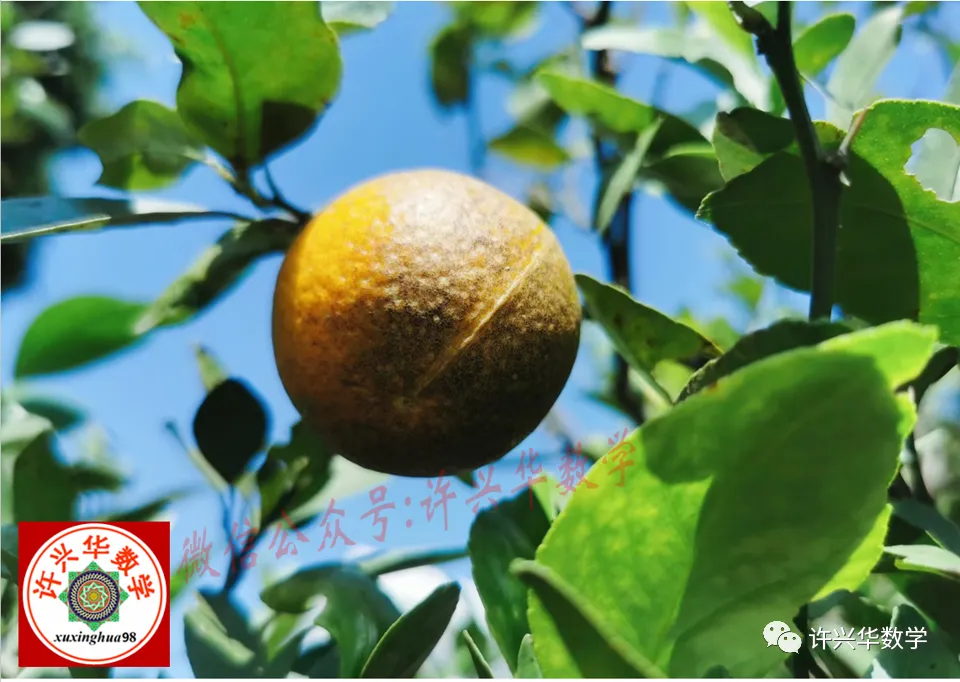 【高考模拟】广东省惠州市2026届高三模拟考试数学试卷0419(许兴华数学) 第1张