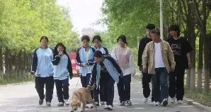 中考后不挤普高独木桥!中专宠物专业,让你靠热爱逆袭,升学就业双无忧 第3张