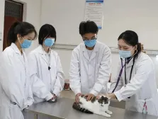 中考后不挤普高独木桥!中专宠物专业,让你靠热爱逆袭,升学就业双无忧 第4张