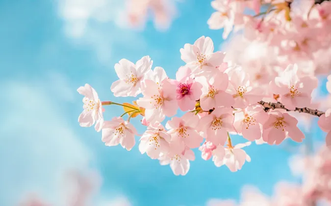 (2026北师大版)初一七下数学:期中考试模拟测试卷更新2套(含答案解析)完整电子版可打印! 第5张