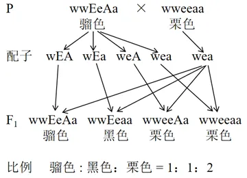 2026年4月湖丽衢二模高三生物试卷、答案、解析、评分细则、赋分表 第1张