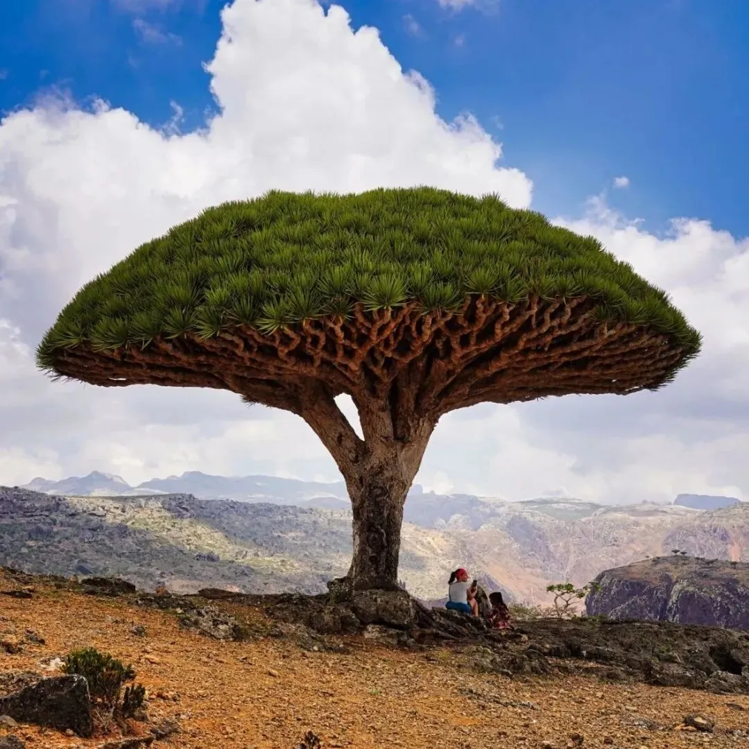 2026年4月湖丽衢二模高三生物试卷、答案、解析、评分细则、赋分表 第17张