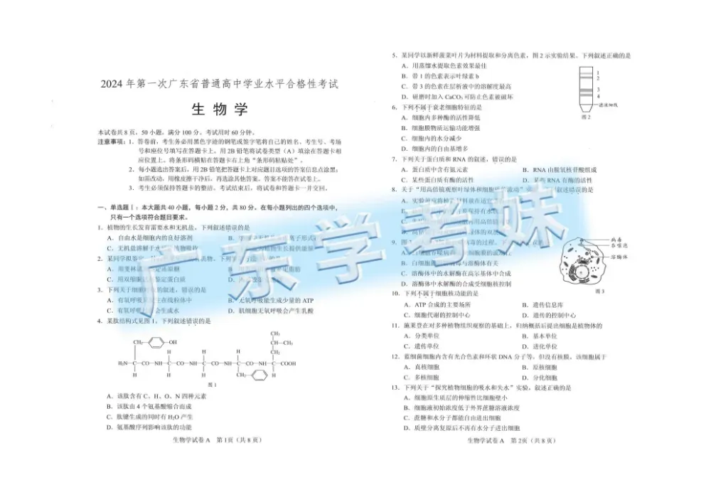 6年合格考真题电子版免费领取→ 第18张
