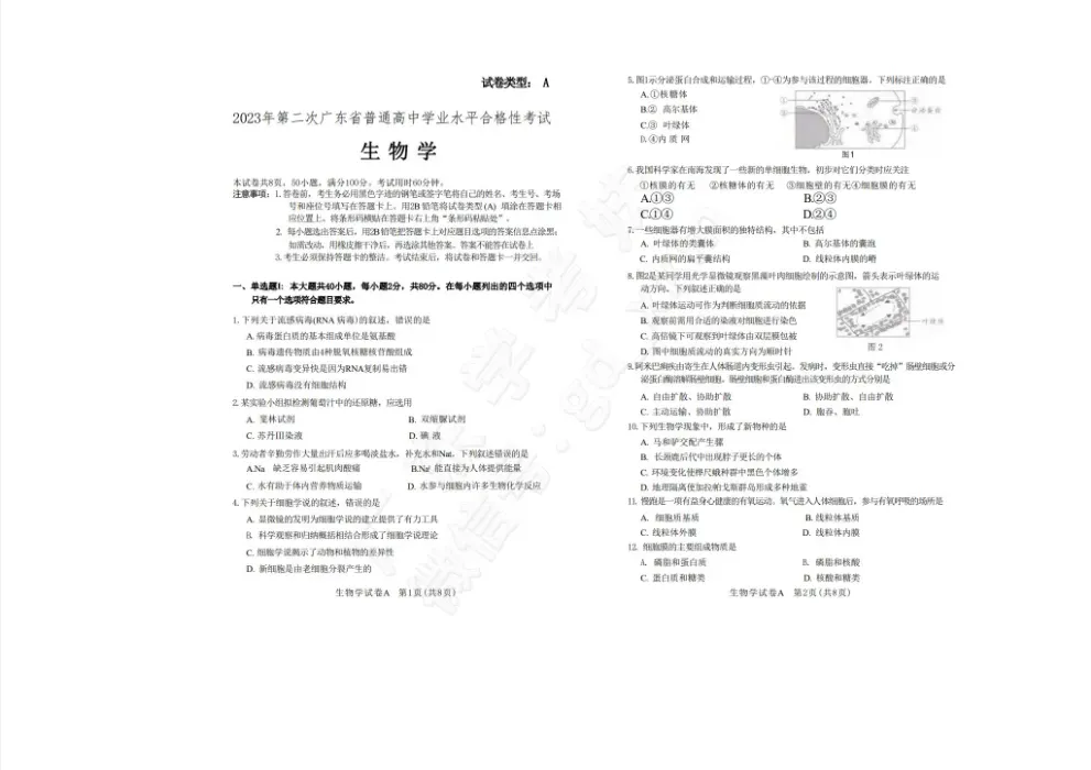 6年合格考真题电子版免费领取→ 第19张