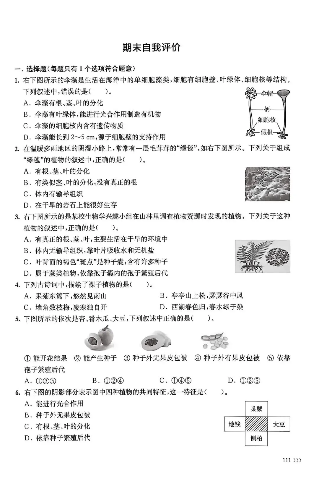 试卷:苏科版初中生物学七下期末考试练习 第1张