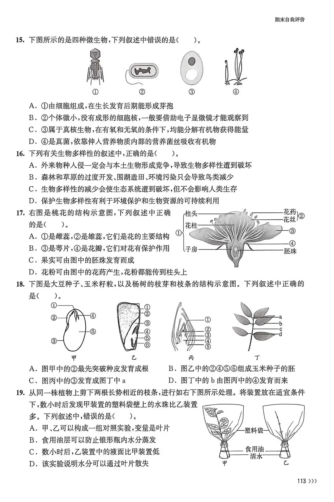 试卷:苏科版初中生物学七下期末考试练习 第3张