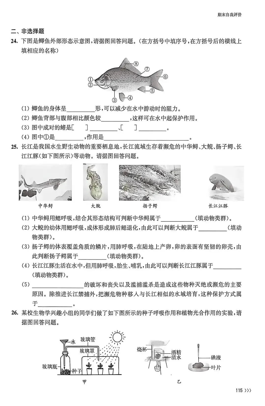 试卷:苏科版初中生物学七下期末考试练习 第5张