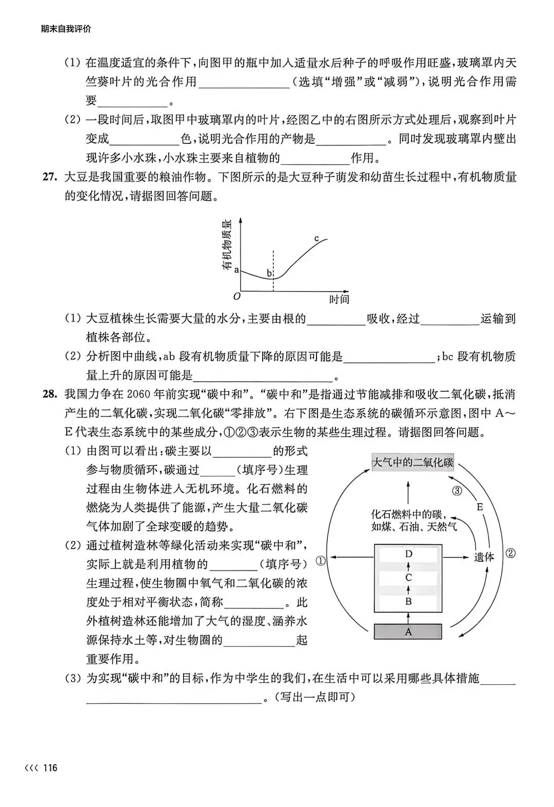 试卷:苏科版初中生物学七下期末考试练习 第6张