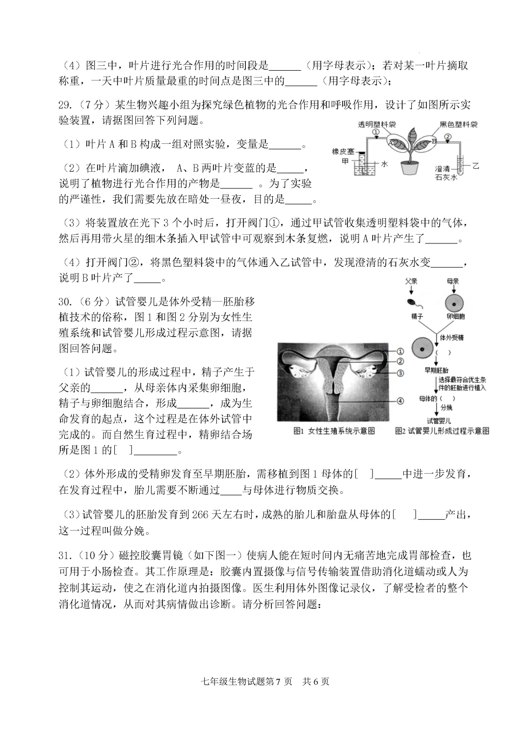 期中真题-2025 年临沂罗庄区初一下学期期中生物试题(完整版 + 答案) 第10张