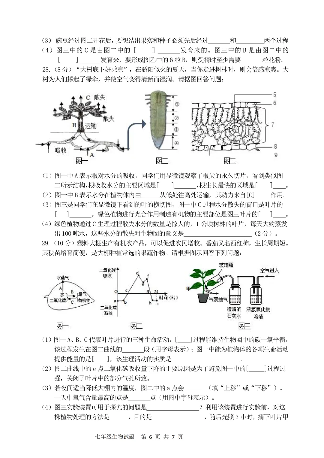 期中真题-2025 年临沂兰陵县初一下学期期中生物试题(完整版 + 答案) 第9张