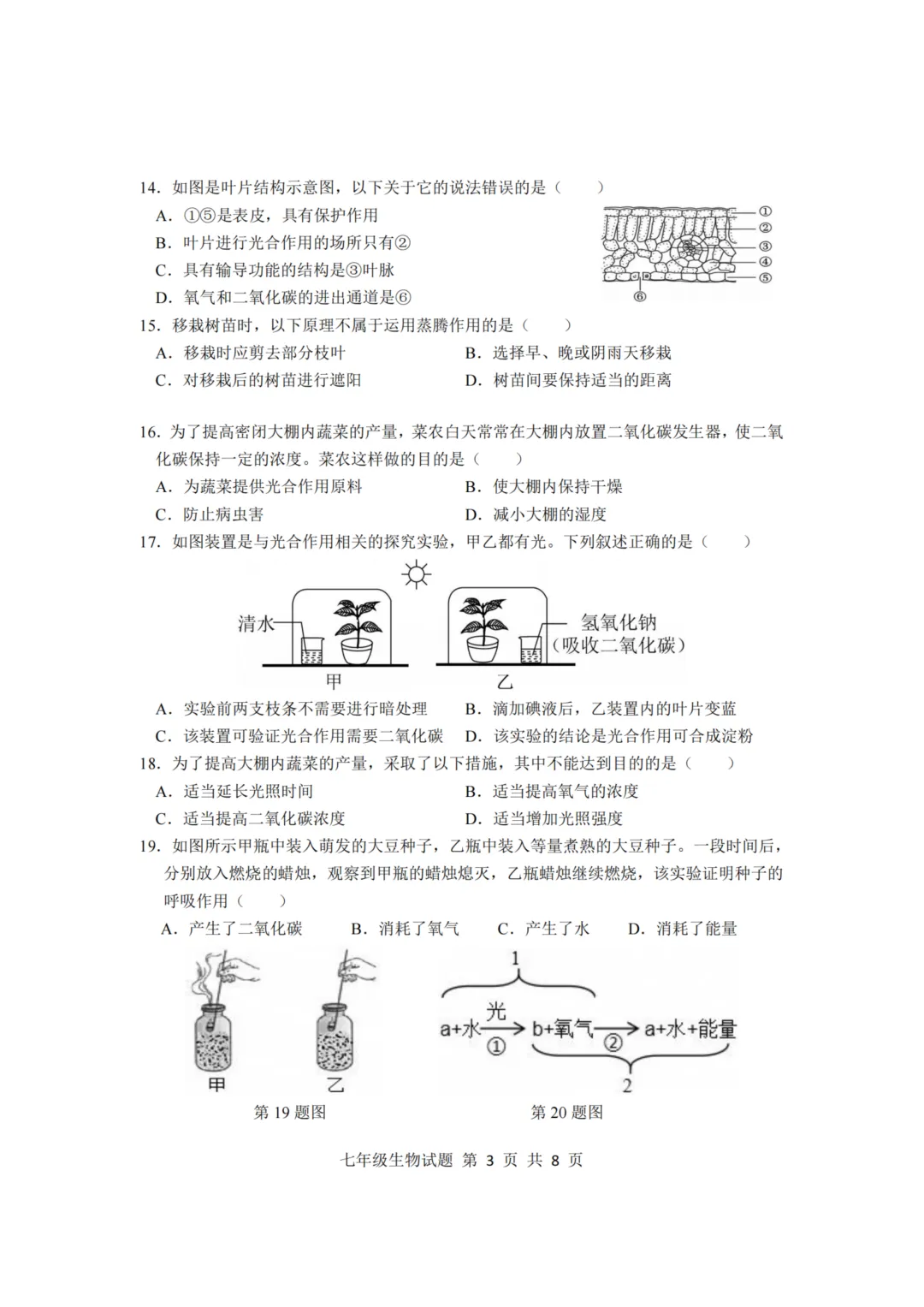 期中真题-2025 年临沂莒南县初一下学期期中生物试题(完整版 + 答案) 第6张