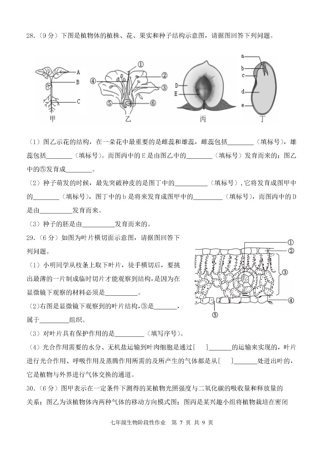 期中真题-2025 年临沂沂水县初一下学期期中生物试题(完整版 + 答案) 第10张