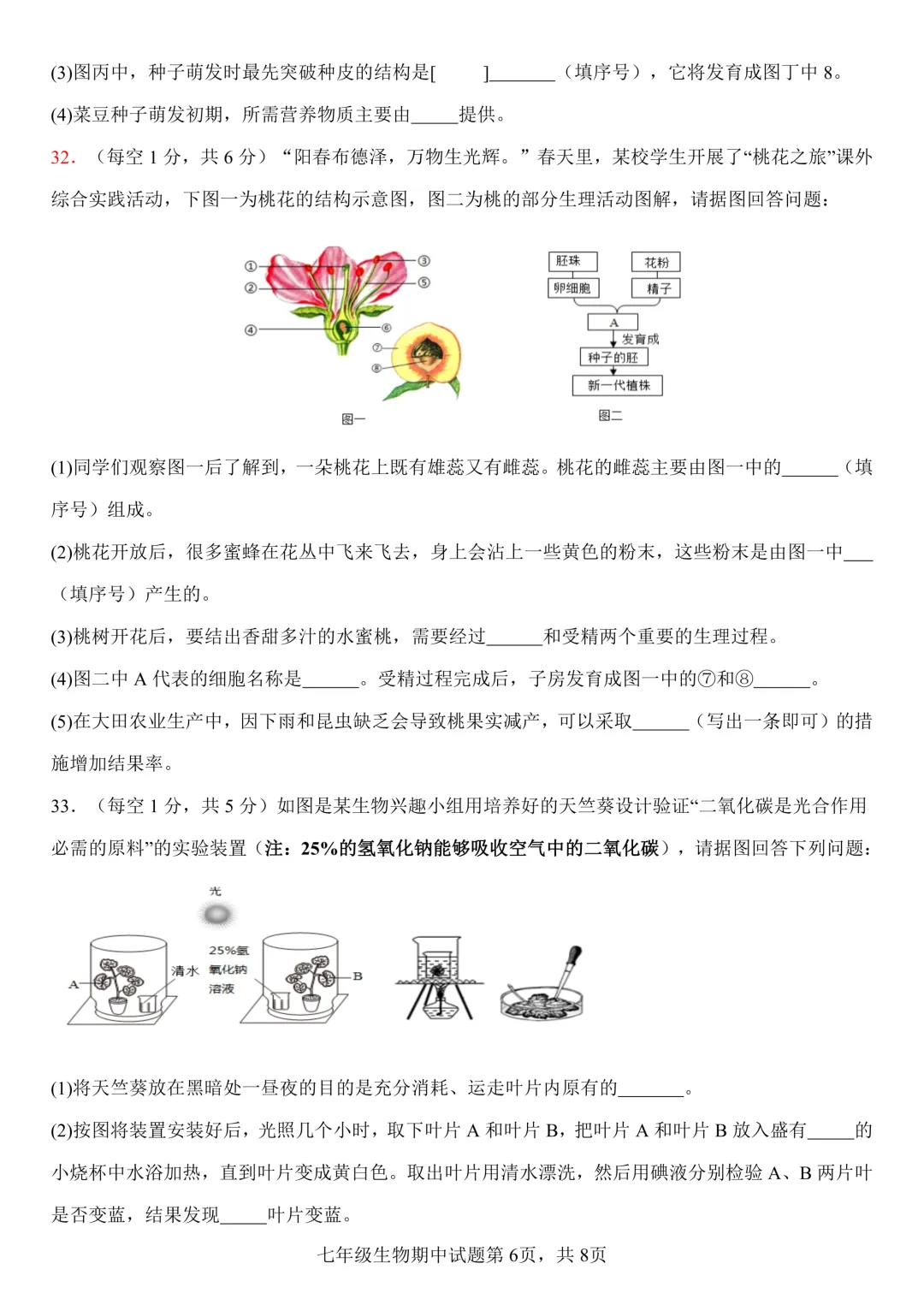 期中真题-2025 年临沂费县初一下学期期中生物试题(完整版 + 答案) 第9张