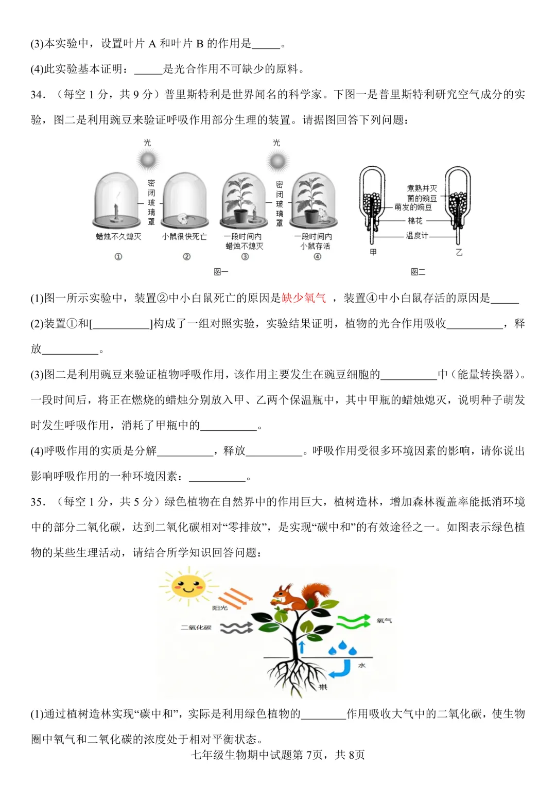 期中真题-2025 年临沂费县初一下学期期中生物试题(完整版 + 答案) 第10张