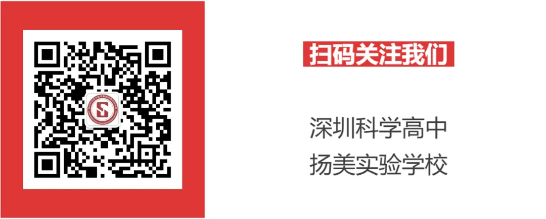2026届体育中考 | 扬昂扬斗志全力以赴 美飒爽身姿勇攀高峰 第62张