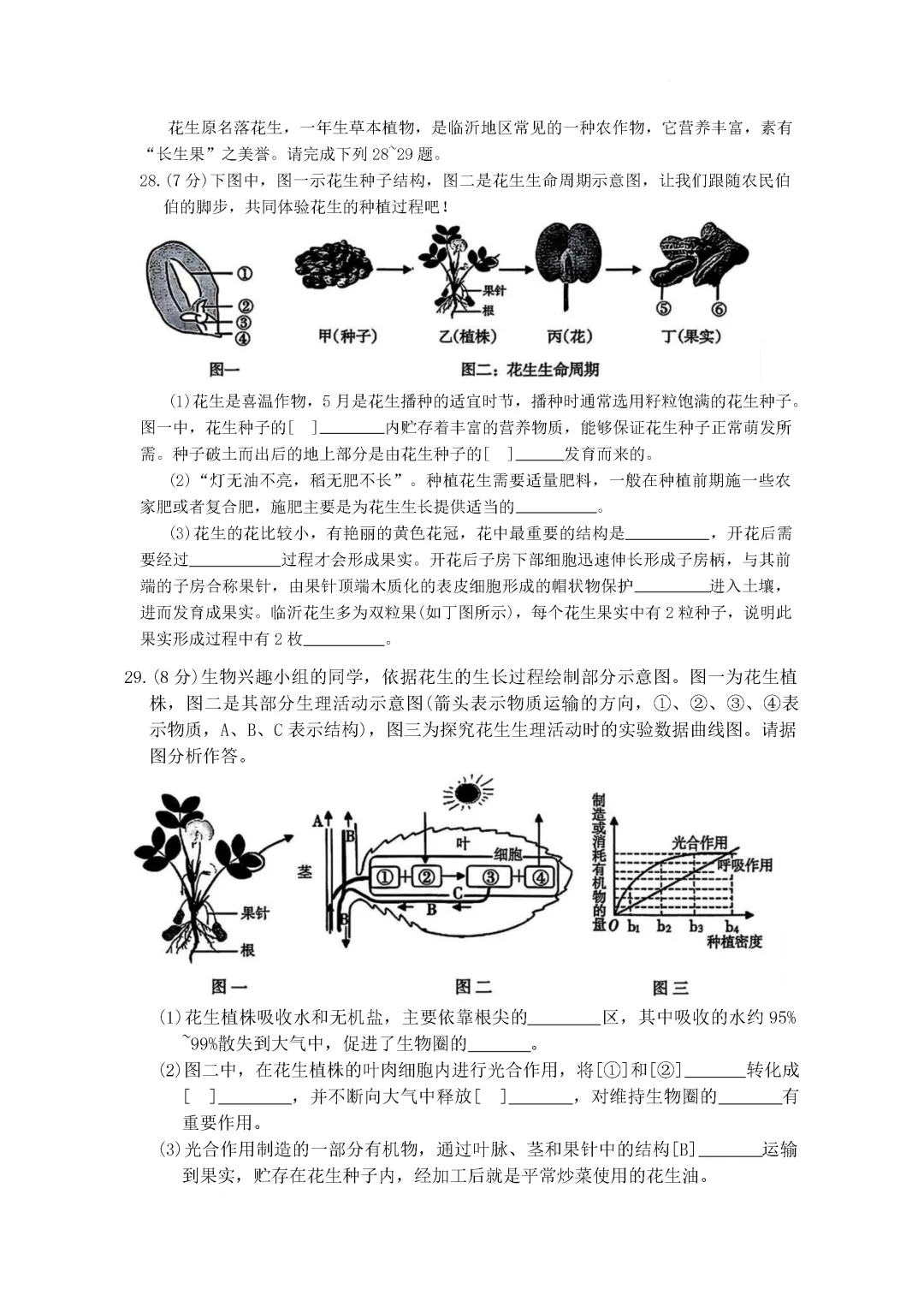 期中真题-2025 年临沂兰山区初一下学期期中生物试题(完整版 + 答案) 第10张