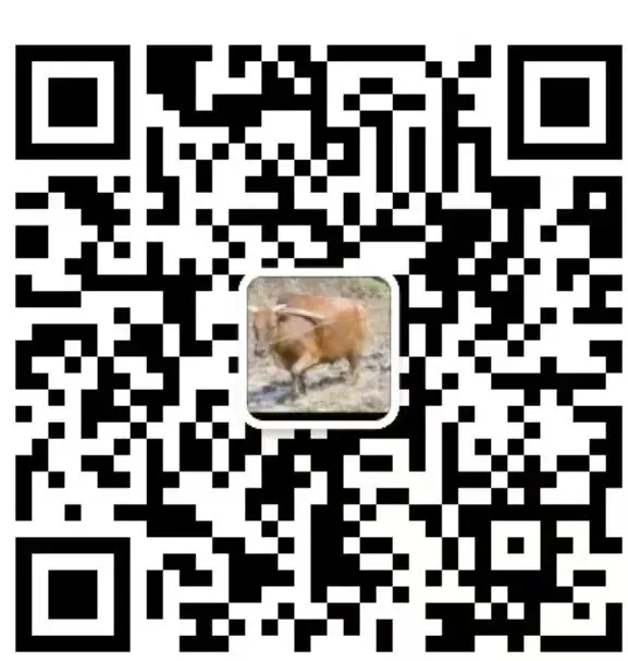 26届三一面试真题回顾!含前六年省三一校测真题集 第106张