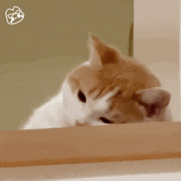 中考作文一类文密码:会思辨 第15张