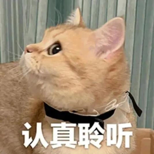 中考作文一类文密码:会思辨 第57张