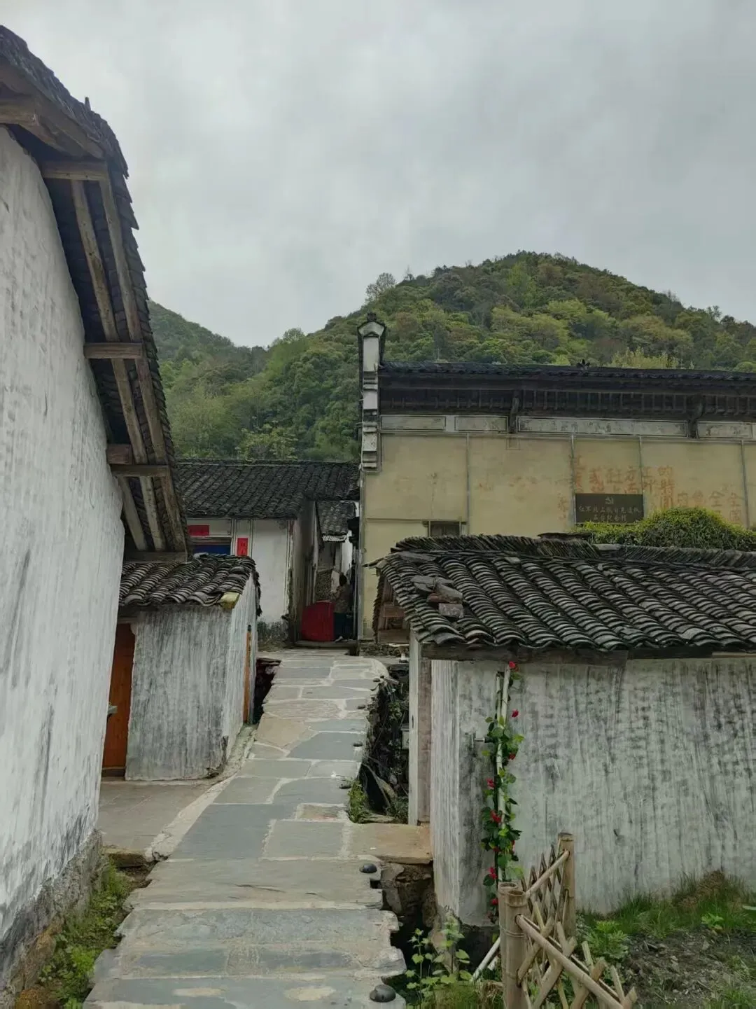 中考高分作文(亲情温暖类)|亲情,是一束光 第3张