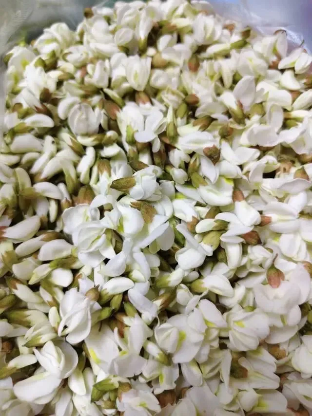 婕妈碎碎念,写在中考倒计时55天 第2张