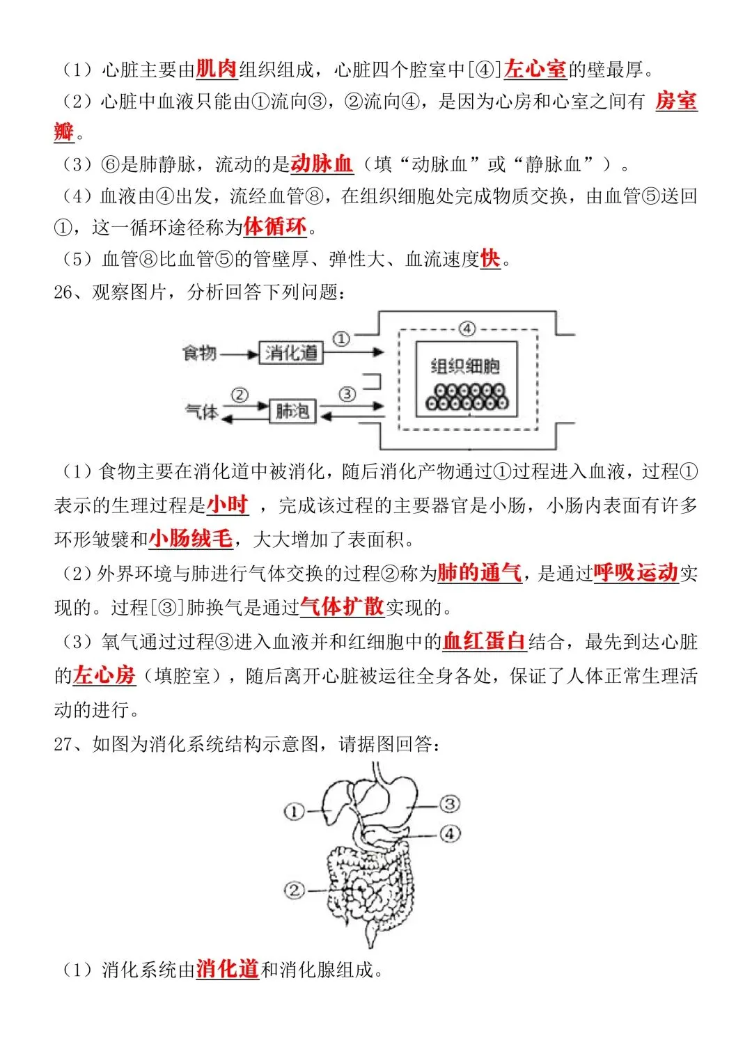 2026年春七年级下册生物《期中考试模拟真题试卷》完整电子版可打印 第3张