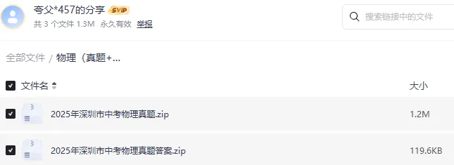 2025 深圳中考物理真题试卷 完整版含解析|高清可下载 第3张