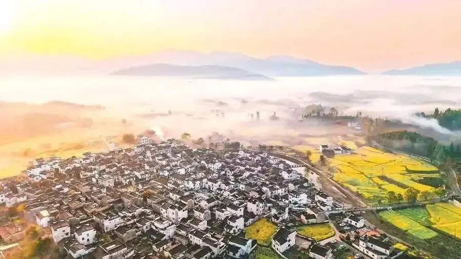 安徽江淮十校2026届高三4月模拟考试语文试题 第1张