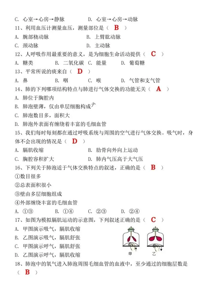 2026年春七年级下册生物《期中考试模拟真题试卷》附答案,背诵篇,完整电子版可打印! 第10张