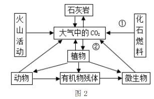 【鸣识优学家】中考地理·真题分类卷·发展与合作(八) 第4张