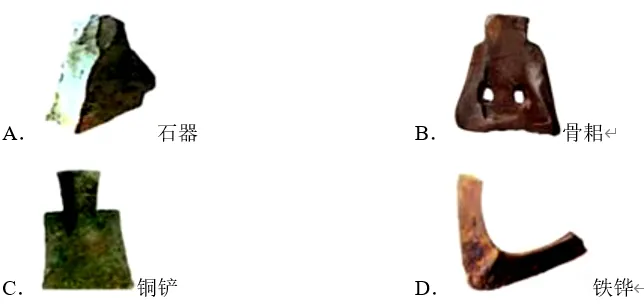 深圳中考历史:2026年中考历史二轮易错知识点专题复习——原始农耕文明混淆 第8张