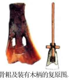 深圳中考历史:2026年中考历史二轮易错知识点专题复习——原始农耕文明混淆 第9张