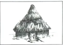 深圳中考历史:2026年中考历史二轮易错知识点专题复习——原始农耕文明混淆 第11张