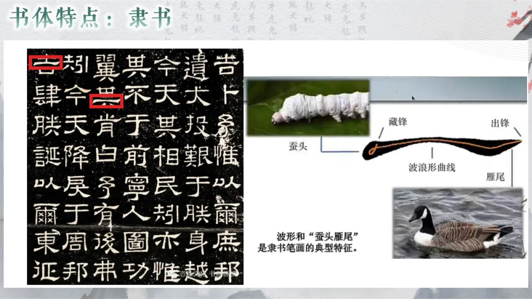 2026年中考专题复习:书法 第21张