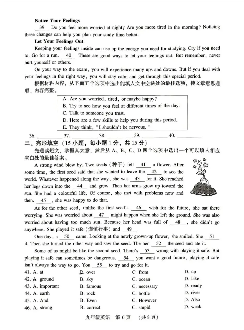 2026许昌中考英语模拟试卷 第6张